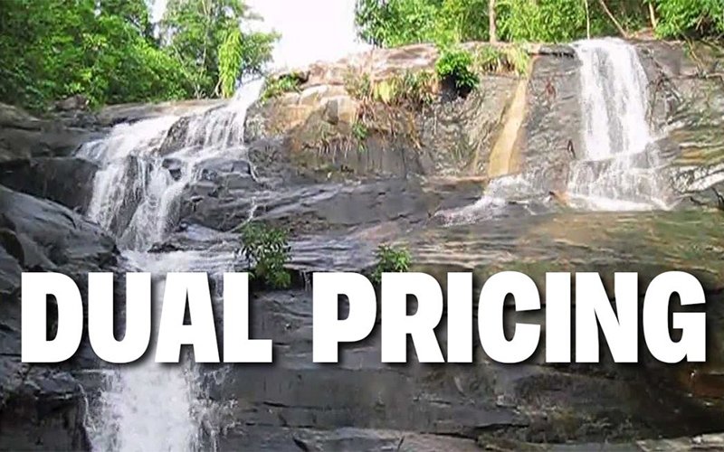 Dual Pricing